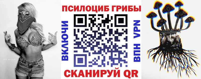 Галлюциногенные грибы Cubensis  Светлогорск 